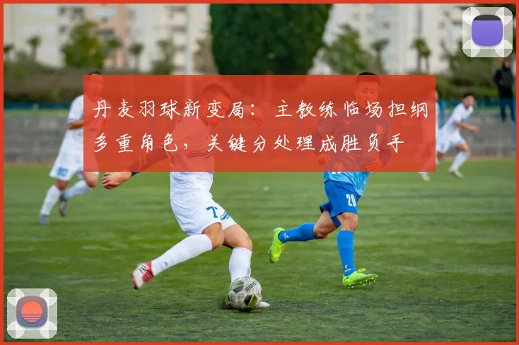 丹麦羽球新变局：主教练临场担纲多重角色，关键分处理成胜负手 - 2026世界杯推荐
