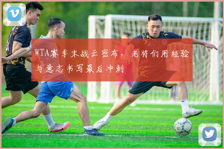WTA赛季末战云密布，老将们用经验与意志书写最后冲刺 - 2026世界杯推荐