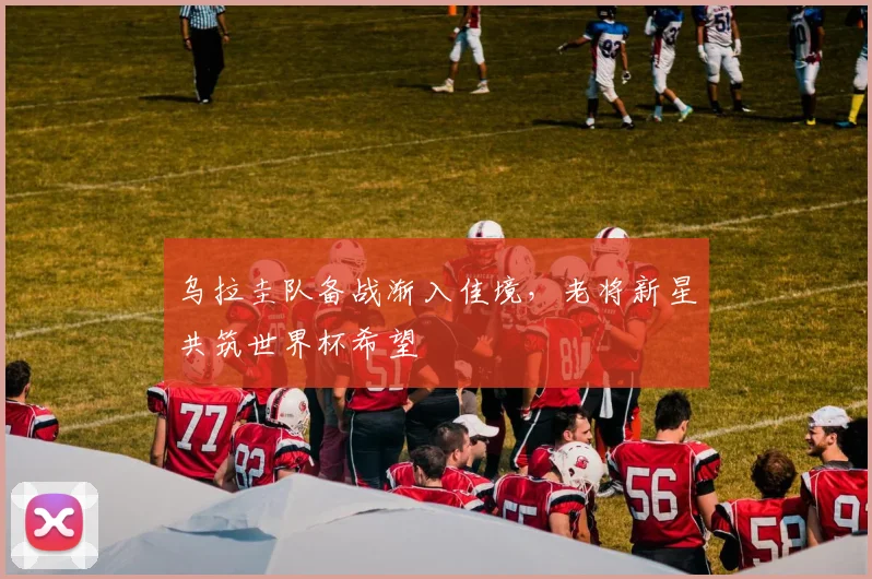 乌拉圭队备战渐入佳境,老将新星共筑世界杯希望 - 2026世界杯推荐
