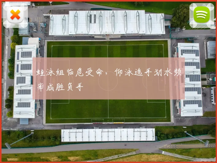 蛙泳组临危受命，仰泳选手划水频率成胜负手 - 2026世界杯推荐