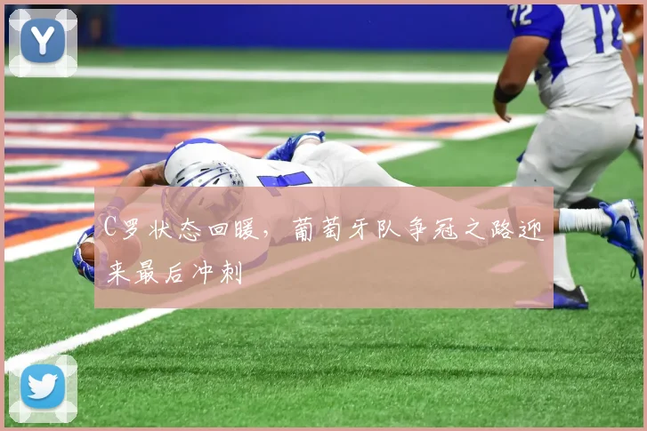 C罗状态回暖，葡萄牙队争冠之路迎来最后冲刺 - 2026世界杯推荐